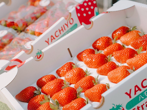 30個入りセット