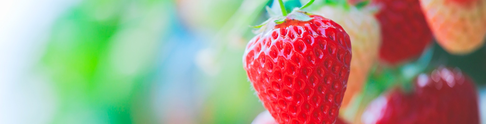 サイトマップ画像